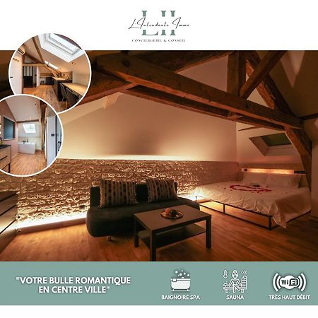 Evasion Chic, Spa Et Sauna Sous Les Toits Nancy Exterior photo